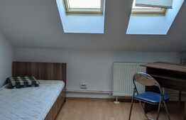 Vila de vanzare pentru investitie sau activitate proprie, Zona Lunei