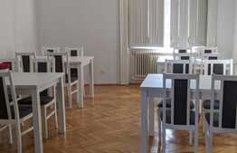 Vila de vanzare pentru investitie sau activitate proprie, Zona Lunei