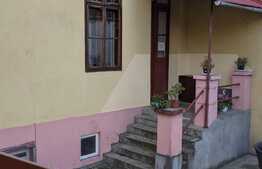 Vila de vanzare pentru investitie sau activitate proprie, Zona Lunei