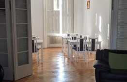 Vila de vanzare pentru investitie sau activitate proprie, Zona Lunei