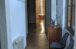 Vila de vanzare pentru investitie sau activitate proprie, Zona Lunei