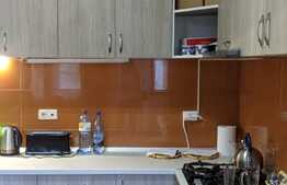 Vila de vanzare pentru investitie sau activitate proprie, Zona Lunei