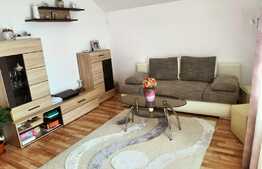 Apartament 2 camere, 45 mp, zona Dambovita