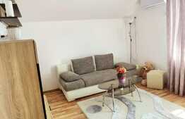 Apartament 2 camere, 45 mp, zona Dambovita