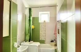 Apartament 2 camere, 45 mp, zona Dambovita