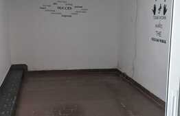 Casa de vanzare cu spatiu comercial, 230 mp utili, zona Sagului