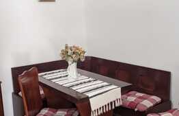 Casa de vanzare cu spatiu comercial, 230 mp utili, zona Sagului