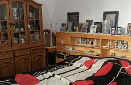 Casa de vanzare cu spatiu comercial, 230 mp utili, zona Sagului