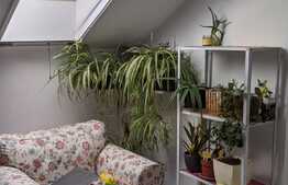 Casa insiruita, finisata, 119 mp utili, Calea Urseni, Giroc