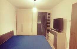 Apartament 2 camere, renovat, mobilat si utilat modern, Dacia