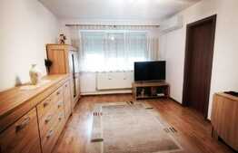 Apartament 2 camere, renovat, mobilat si utilat modern, Dacia