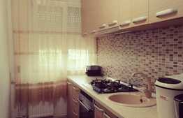 Apartament 2 camere, renovat, mobilat si utilat modern, Dacia