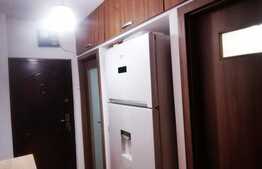 Apartament 2 camere, renovat, mobilat si utilat modern, Dacia