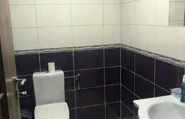 Casa insiruita 99 mp utili, Dumbravita!