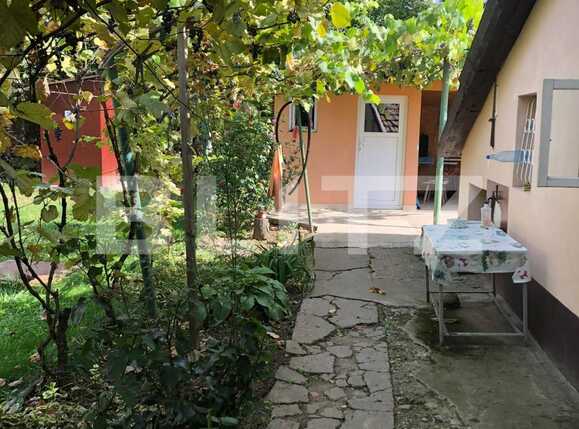 Casa de vânzare 4 camere Aradului - 72237CV | BLITZ Timișoara | Poza6