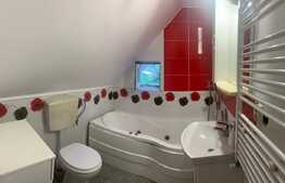 Casă unifamilială sau pentru 2 familii, 170 mp utili, teren 400 mp, în zona Lipovei