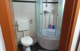  Apartament 2 camere decomandat, mobilat si utilat,45 utili, zona Lipovei