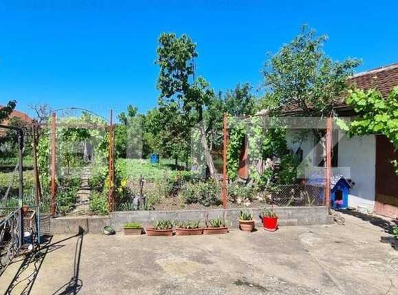 Casa de vânzare 3 camere Ronat - 72521CV | BLITZ Timișoara | Poza4