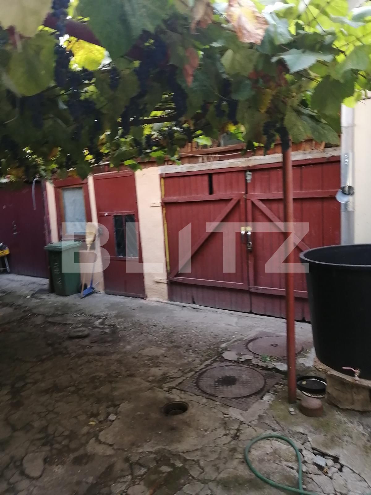 Casa de vânzare 4 camere Torontalului - 72529CV | BLITZ Timișoara | Poza4