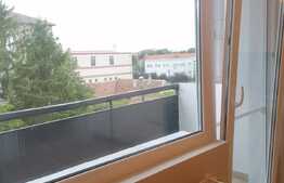 Apartament modern de 3 camere, complet renovat, zona Lipovei