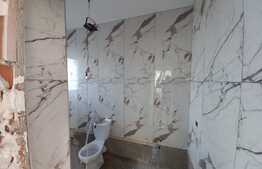 Duplex pe parter, 70 mp utili, teren 356 mp, Dumbravita