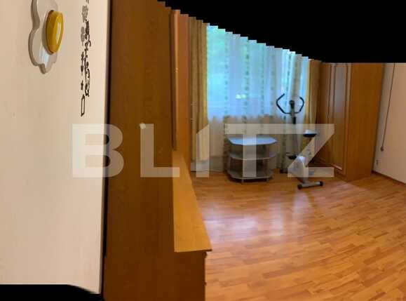 Garsonieră de vânzare Blascovici - 72773AV | BLITZ Timișoara | Poza2