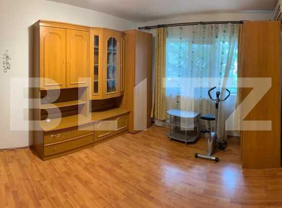 Garsonieră de vânzare Blascovici - 72773AV | BLITZ Timișoara | Poza1