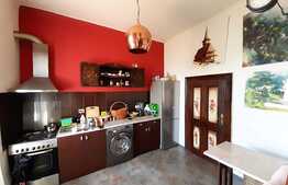 Apartament cochet de 2 camere, etajul 1, situat in zona Piata Iosefin