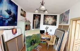 Apartament cochet de 2 camere, etajul 1, situat in zona Piata Iosefin