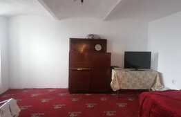 Investitie! Apartament parter + demisol inalt, cladire istorica, zona Iosefin