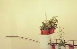 Apartament 3 camere, 116 mp, zona Traian