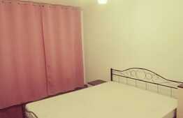 Apartament 2 camere, complet renovat, zona Aradului