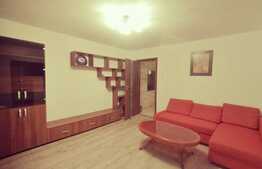 Apartament 2 camere, complet renovat, zona Aradului