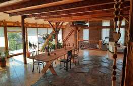 Oportunitate, vila mare, de lux, zona foarte buna, pozitionata excelent langa centrul Timisoarei