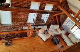 Oportunitate, vila mare, de lux, zona foarte buna, pozitionata excelent langa centrul Timisoarei