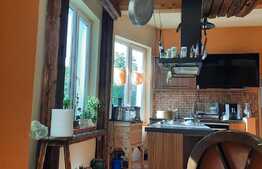 Oportunitate, vila mare, de lux, zona foarte buna, pozitionata excelent langa centrul Timisoarei