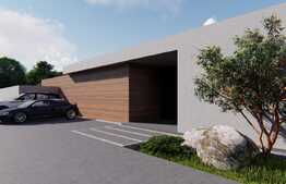 Proiect deosebit, unic in zona, casa de vanzare in Mosnita Noua