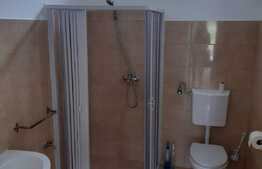 Spatiu comercial pretabil pentru productie si depozitare, 50 mp x 3, Dumbravita