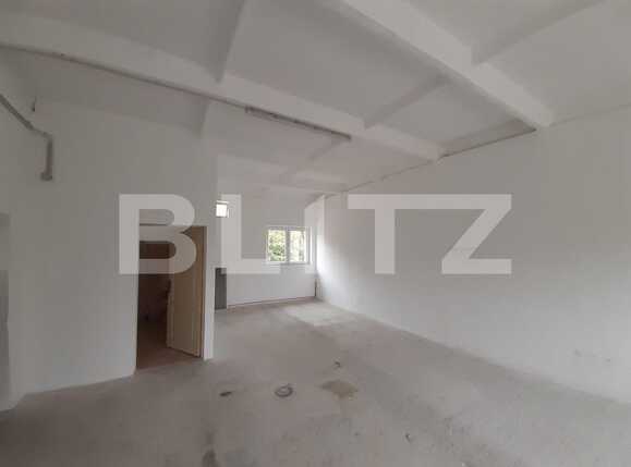 Spațiu industrial de închiriat Dumbravita - 73435SII | BLITZ Timișoara | Poza2