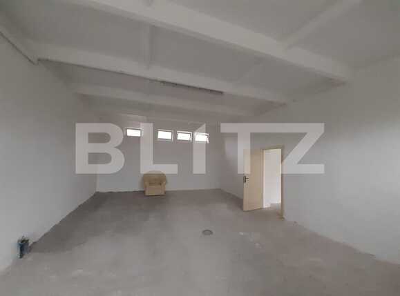 Spațiu industrial de închiriat Dumbravita - 73435SII | BLITZ Timișoara | Poza5