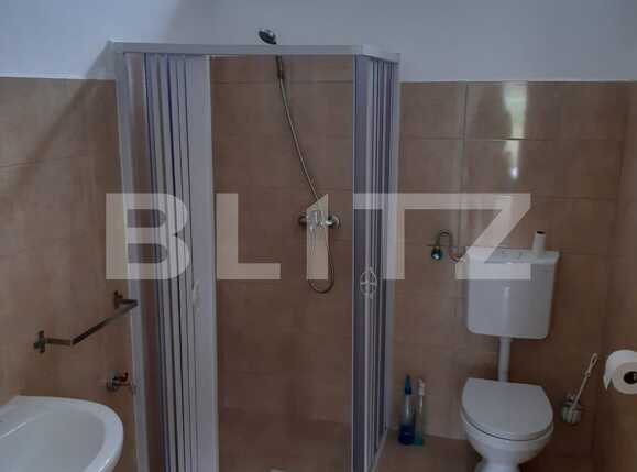 Spațiu industrial de închiriat Dumbravita - 73435SII | BLITZ Timișoara | Poza3