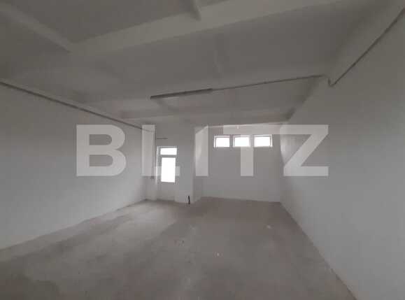 Spațiu industrial de închiriat Dumbravita - 73435SII | BLITZ Timișoara | Poza6