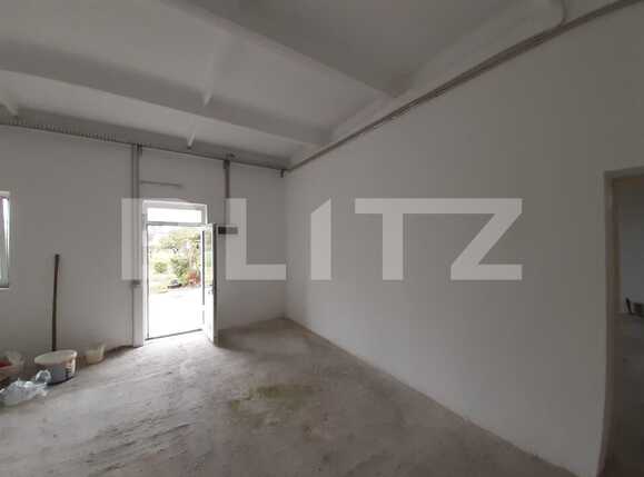 Spațiu industrial de închiriat Dumbravita - 73435SII | BLITZ Timișoara | Poza1