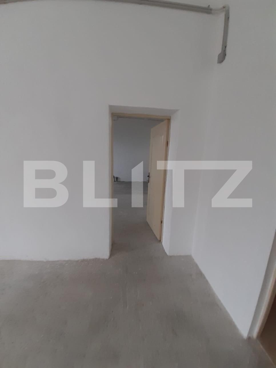 Spațiu industrial de închiriat Dumbravita - 73435SII | BLITZ Timișoara | Poza4