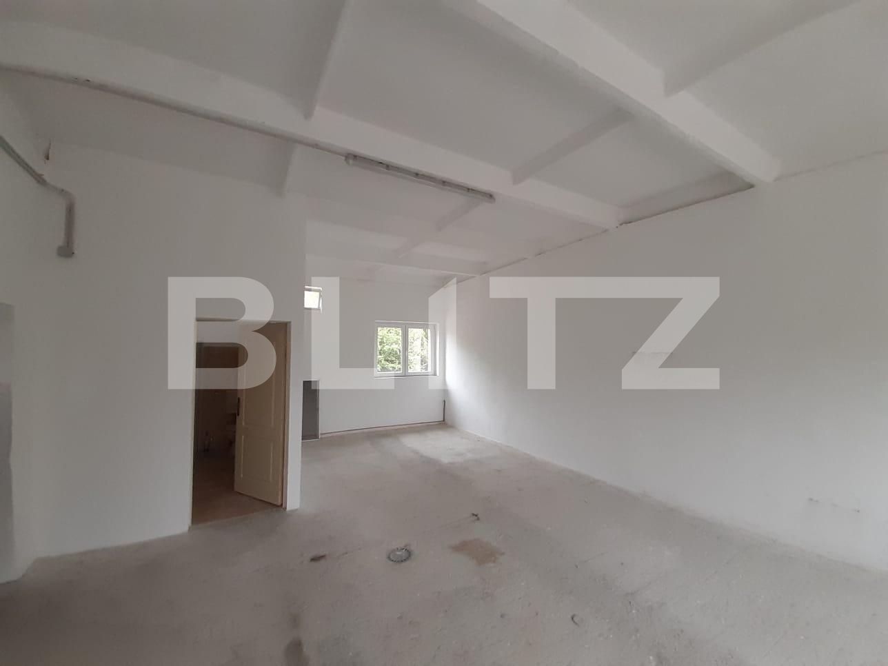 Spațiu industrial de închiriat Dumbravita - 73435SII | BLITZ Timișoara | Poza2