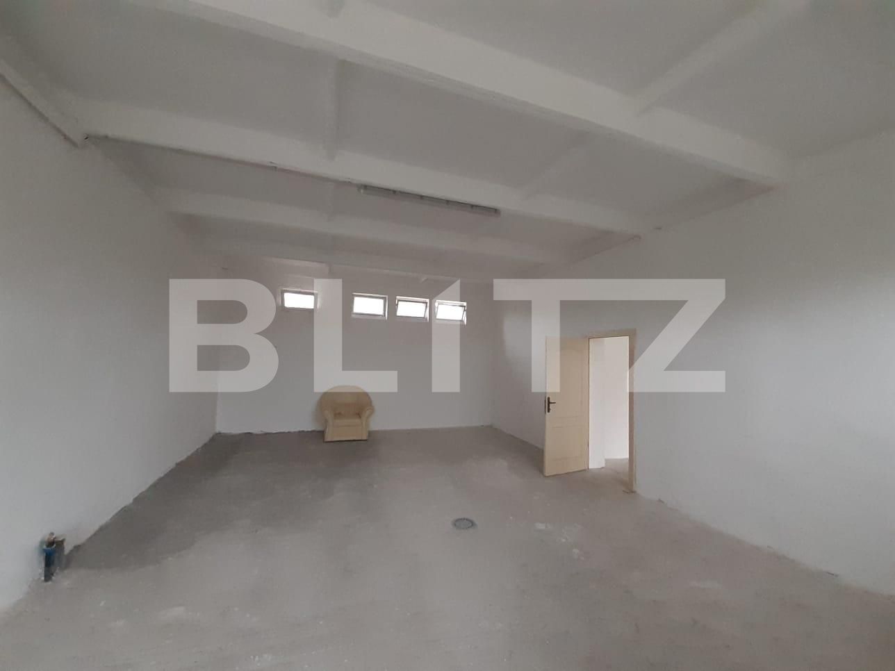 Spațiu industrial de închiriat Dumbravita - 73435SII | BLITZ Timișoara | Poza5