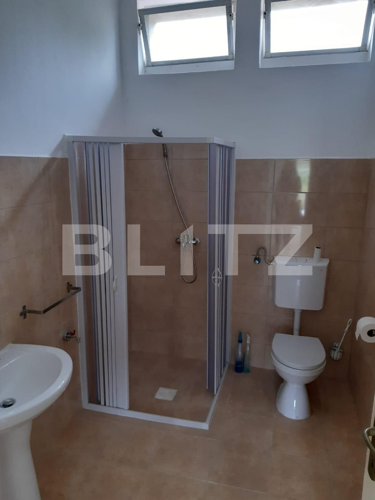 Spațiu industrial de închiriat Dumbravita - 73435SII | BLITZ Timișoara | Poza3