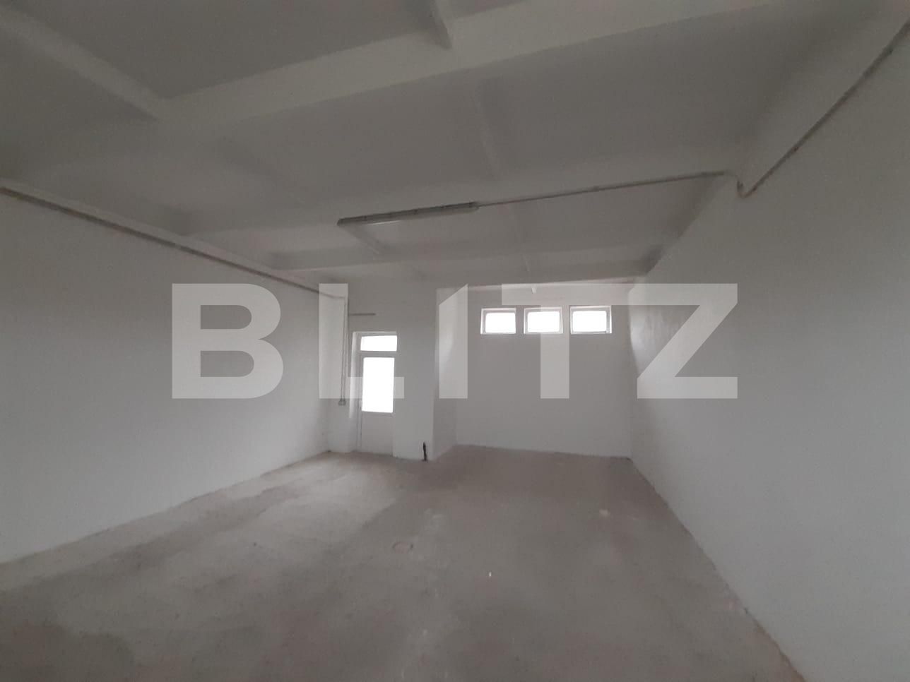 Spațiu industrial de închiriat Dumbravita - 73435SII | BLITZ Timișoara | Poza6