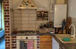 Casa individuala, 110 mp utili, la cheie, zona Plopi