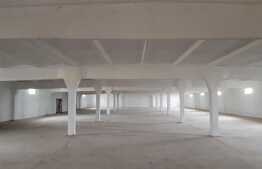 Hală industriala pretabila pentru productie si depozitare, 800 mp, Dumbravita